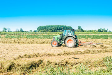 Obraz premium Agricultural labor