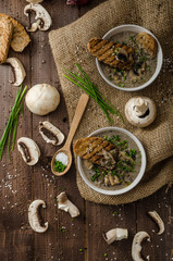 Mushroom soup