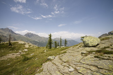 Riserva Naturale del Mont Avic