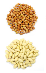 cashew nuts