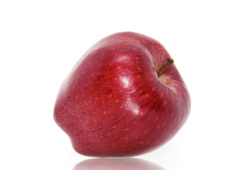 Red ripe apple