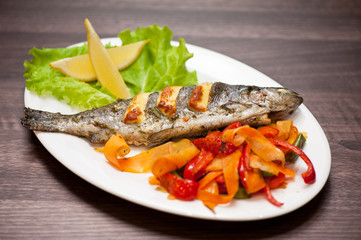 rainbow trout fish