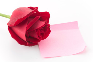 red rose with pink paper note