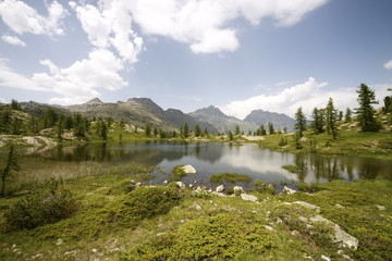 Fototapeta na wymiar Riserva Naturale del Mont Avic