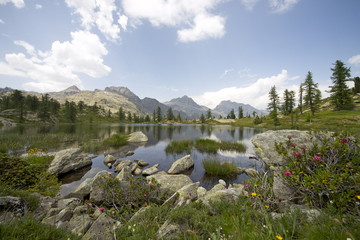 Riserva Naturale del Mont Avic