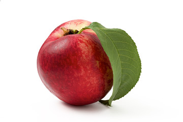 nectarine with leaf on a white background