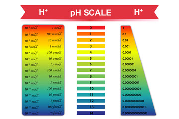 pH scale chart vector illustration