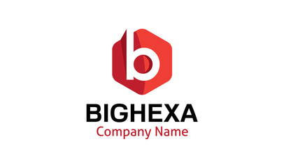 Big Hexa Logo template
