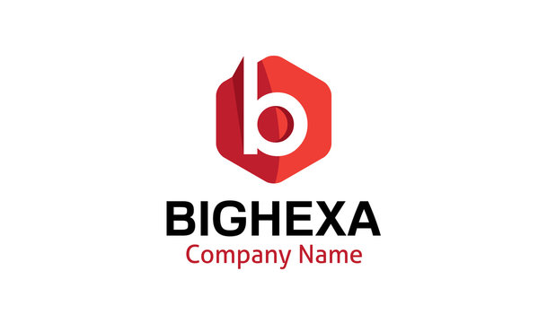 Big Hexa Logo template