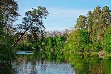 Fototapeta na wymiar landscape with lake, trees and sky