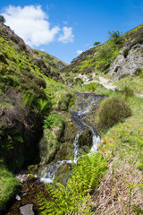 Fototapeta na wymiar Stream running down between the hills.