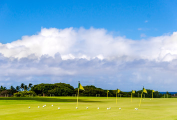 Fototapeta premium Golf field background