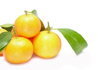 Tangerine Citrus fruits on white background