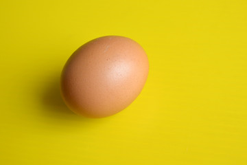Egg