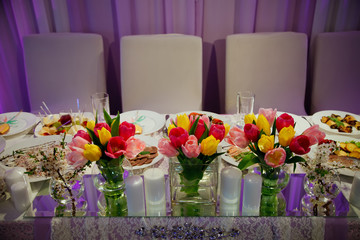 table setting on bright background