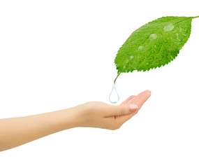 Drop of water falling on hand