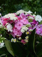 bouquet of summer flowers