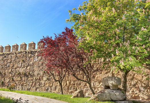 Ancient Bull Statue Castle Walls Swallows Avila Castile Spain