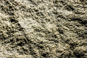 Sea rock closeup texture.