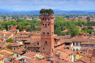 Lucca - obrazy, fototapety, plakaty