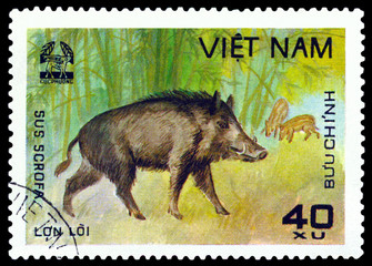Stamp.  Wild boar.