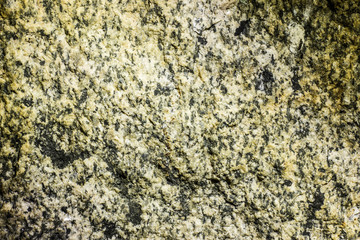 Sea rock closeup texture.