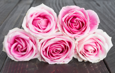 white and pink rose on wood background