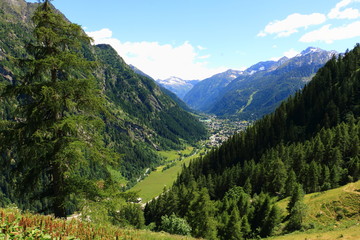 Fototapeta na wymiar Mountain landscape of Gressoney Val d'Aosta Italy in summer