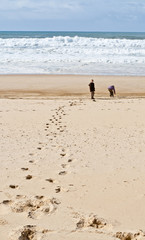 Vieux-Boucau (Landes)