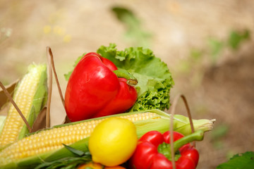 Fresh vegetables at shopping bags grocery market