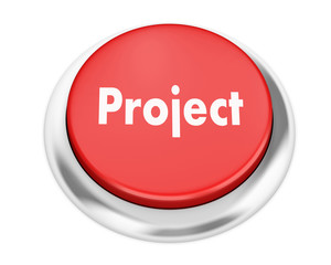 Project