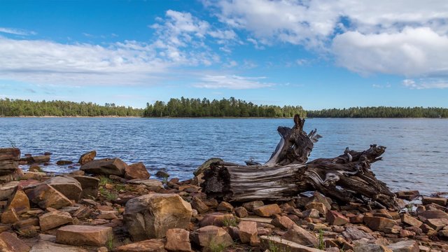 Time Lapse of clouds at the lake with an amazing log at the shore.  4K image size 3840x2160 at 24FPS.