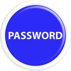 Button password 3d