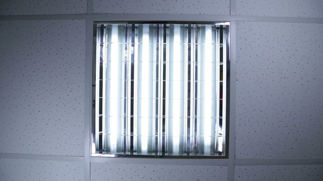 Bank of fluorescent lights