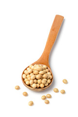 soybean in the wooden spoon, tilt shift lens