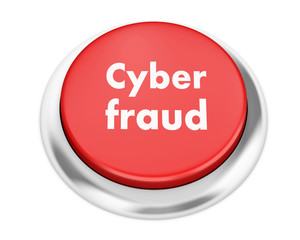 cyber fraud