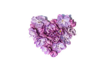 Lilac flowers heart isolated. White background