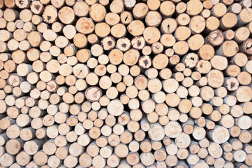 Texture of wooden in seamless wallpaper