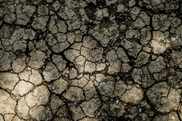 Cracked earth background