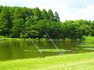 Obraz na płótnie Canvas 釣竿のある池と林風景