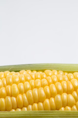 生のトウモロコシ