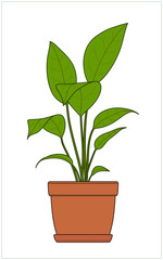 Potted Plant. Houseplants. Vector.