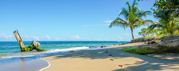 Caribbean beach of Costa Rica close to Puerto Viejo - obrazy, fototapety, plakaty