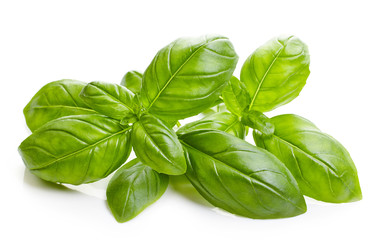 fresh basil leaves