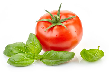 fresh tomato and basil leaf