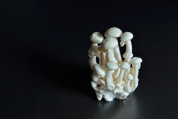 Bunch of white beech mushrooms Hypsizygus tessellatus on dark table