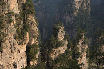 Forest covered canyons in Zhangjiajie, China