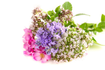 bouquet of herbal flowers