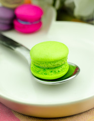 Mini green macaron on spoon/ Close up image