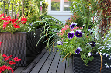 Beautiful modern terrace with mix of summer flowers
